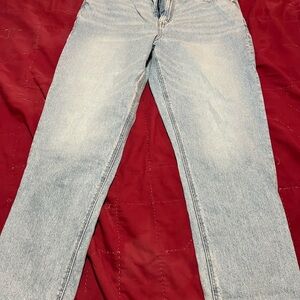 American Eagle Outfitters Light Blue Straight Jeans